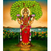Sri Vasavi Mata Prana Prathishta Platinum Sponsorship